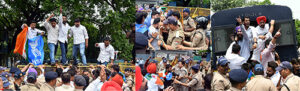 nsui students